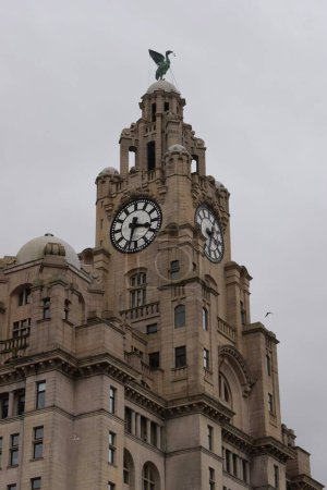 Téléchargez les photos : Liverpool, Merseyside, Royaume-Uni - 12 mars 2023 : Gros plan sur l'emblématique bâtiment du foie classé 1ère année de Liverpool, des Trois Grâces protégées, situé à la tête de la jetée le long de la rivière Mersey - en image libre de droit