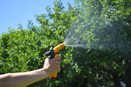 Hosepipe spraying water on a summer day with an apple tree background