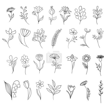 Illustration for A set of hand drawn flowers and herbs. Flat linear plants on white background. Botanical design elements. - Royalty Free Image