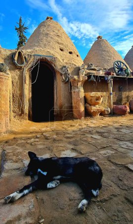 Foto de Casas de cúpula de harran, urfa - Imagen libre de derechos