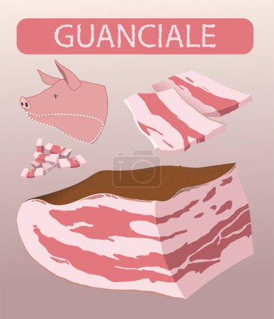 Téléchargez les illustrations : Illustration guanciale, viande de porc dans la cuisine italienne - en licence libre de droit