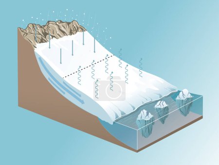 ilustración del diagrama de anatomía del glaciar