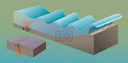 Illustration for Illustration of tsunami diagram - Royalty Free Image