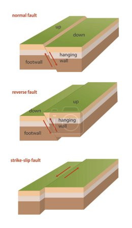 illustration of faults classification