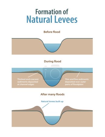 Ilustración de Formación de diques naturales infografía - Imagen libre de derechos