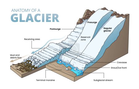 Illustration for Illustration of glacier cross section diagram - Royalty Free Image