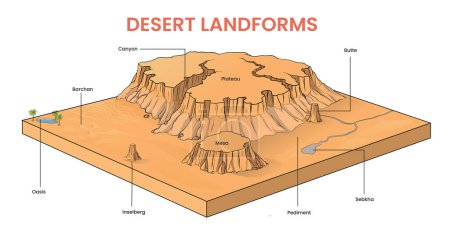 Téléchargez les illustrations : Illustration en coupe transversale du diagramme des formes de relief du désert - en licence libre de droit