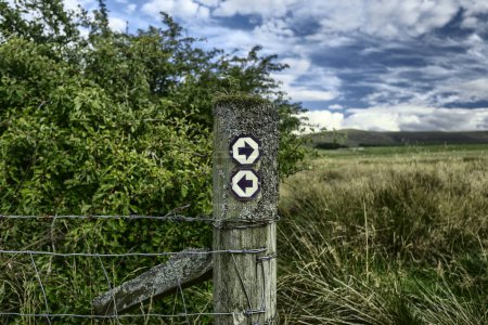 Photo for Post with footpath signs in the Harperrig Nature Reserve, located in the Pentlands Nature Park, Edinburgh. - Royalty Free Image