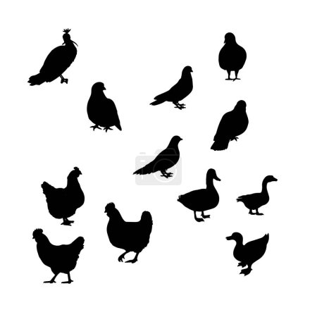 Téléchargez les illustrations : Ensemble de silhouettes d'oiseaux - en licence libre de droit
