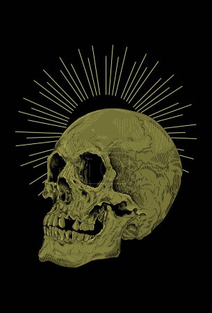 Illustration for Skull artwork detail illustration - Royalty Free Image