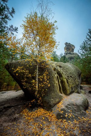Foto de Una formación rocosa en CHKO Cesky Raj en otoño. - Imagen libre de derechos