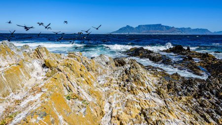 Photo for Table mountain in Cape Town from a distance Robben Island. Rocky cliffs in the foreground. - Royalty Free Image