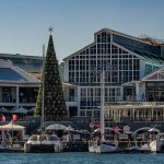 Cape Town, South Africa, January 2021 - A Christmas tree in the Victoria and Alfred Waterfront in Cape Town.