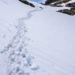 The trail towards the Habicht summit in Stubai alps traverses a small glacier called Habichferner.