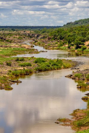 Foto de Una vista sobre el río Olifants en Kruger NP en Sudáfrica. - Imagen libre de derechos