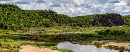 Foto de Una vista sobre el río Olifants en Kruger NP en Sudáfrica. - Imagen libre de derechos