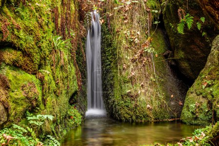 Photo for A waterfall on a stream Kachni Potok which flows into river Kamenice in Ceske Svycarsko NP. - Royalty Free Image
