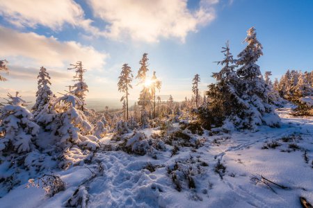 Téléchargez les photos : Forêt de CHKO Brdy couverte de neige près du sommet Praha en hiver. - en image libre de droit