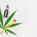 Medicinal cannabis leaf, oil bottle and test tube with CBD oil on white background, top view with copy space