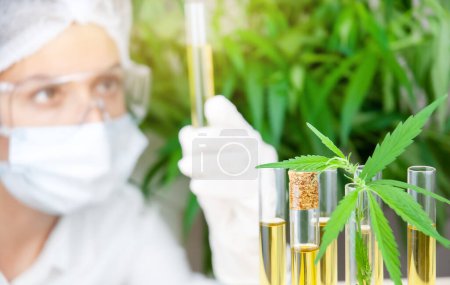 Foto de Tubos de ensayo con cannabidiol y hojas de cannabis en laboratorio. Científica analizando aceite de cbd en segundo plano - Imagen libre de derechos