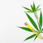Medicinal cannabis leaves and CBD oil in test tube on white background, top view with copy space