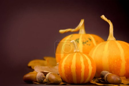 Foto de Fondo festivo de otoño. Tres calabazas, hojas de otoño y bellotas sobre fondo oscuro - Imagen libre de derechos