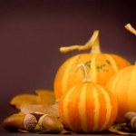 Autumn festive background. Three pumpkins, autumn leaves and acorns on dark background