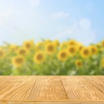 Wooden table with blurred sunflower field background