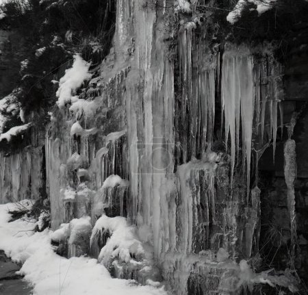 Foto de Los carámbanos se forman cuando el agua de un objeto se congela. Congelación en blanco y negro - Imagen libre de derechos