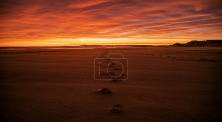 Photo for Scenic shot of lonely footprints on a quiet beach with beautiful sunset sky and dark landscape - Royalty Free Image