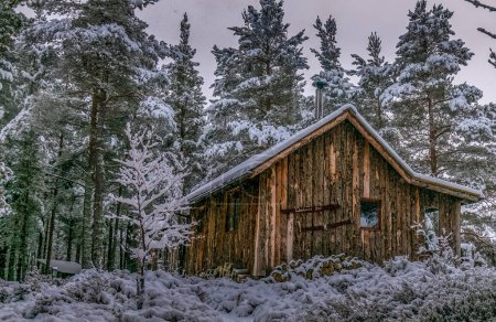 Téléchargez les photos : Woodman's Hut dans les Cairngorms dans la neige - en image libre de droit