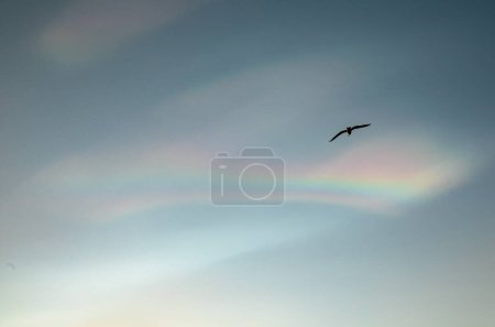 Photo for Nacreous cloud just after sunrise in Scotland - Royalty Free Image