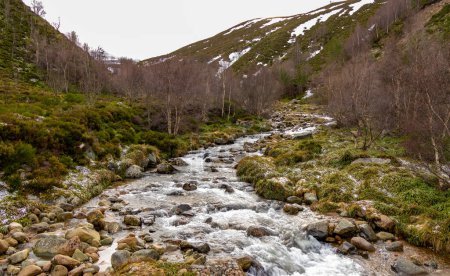 Téléchargez les photos : Rivière Allt Mor qui traverse les Cairngorms - en image libre de droit
