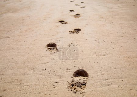 Photo for Footprint on a sandy beach - Royalty Free Image