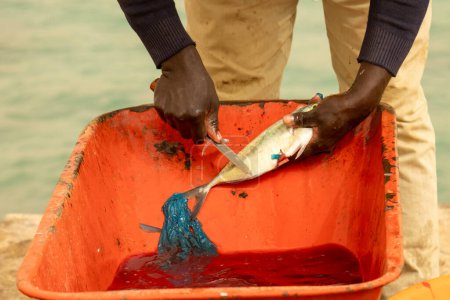 Frisch gefangener Fisch wird auf einem Fischmarkt filetiert und geputzt