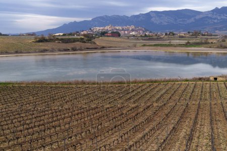 Weinberge in Laguardia. Weinberge und Lagune mit Laguardia im Hintergrund, Alava, Euskadi