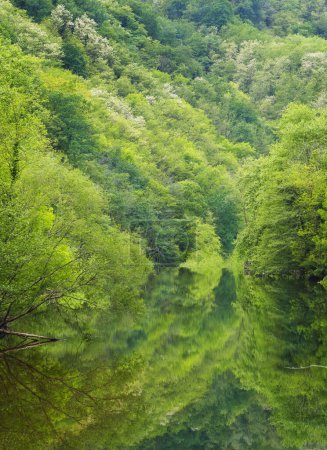 Téléchargez les photos : Printemps dans la rivière Urumea. Printemps dans la rivière Urumea en passant par Erenozu, Hernani, Pays Basque. - en image libre de droit