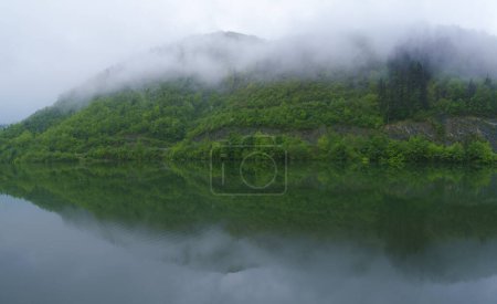 Spring in the Ibiur reservoir. The forests are reflected in the Ibiur reservoir. tolosaldea, Eusladi
