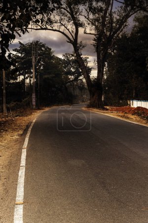 Foto de Filas de árboles a lo largo de la carretera y el cielo cubierto de gruesas nubes de lluvia negra fotografía de la naturaleza - Imagen libre de derechos