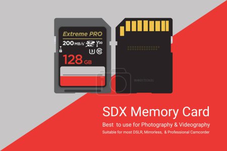 Illustration for SDX memory card realistic hand drawn vector illustration art - Royalty Free Image