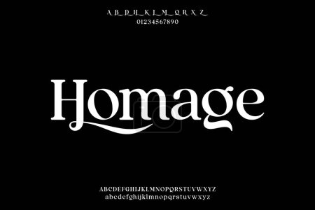 Ilustración de Elegante lujo serif alfabetos fuente vector con alternas - Imagen libre de derechos