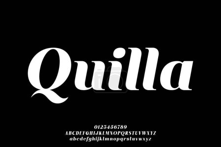 Beautiful serif italic font vector