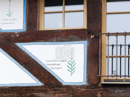 Téléchargez les photos : Maison traditionnelle en bois dans le village, Détail de maison à colombages, peinte - en image libre de droit