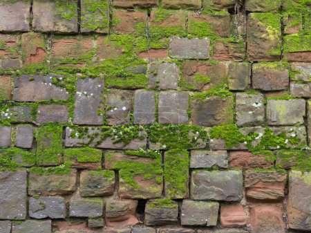 Téléchargez les photos : Haut mur de grès recouvert de mousse et de lichens - en image libre de droit