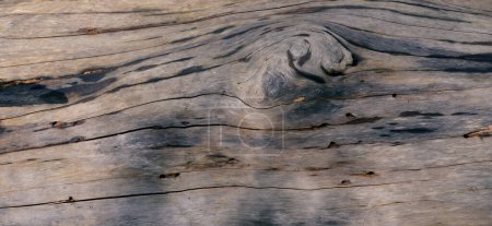 Textur des Holzhintergrunds, Nahaufnahme
