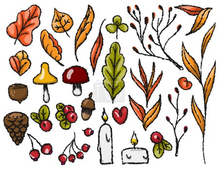 Téléchargez les photos : Ensemble d'automne d'éléments d'automne sur un fond transparent, ligne dessinée avec un pinceau, pour l'emballage et le design textile. Graphiques vectoriels. Feuilles, champignons, baies, bougies, branches - en image libre de droit