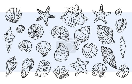 Illustration for Seashells vector set. Linear black and white illustrations. Doodle. Vector graphics for textile print, paper - Royalty Free Image