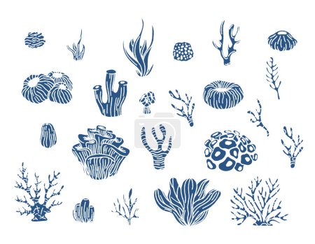 Coral reef and algae underwater plants vector. Aquarium, ocean and underwater algae, water life isolated on white background. Coral doodle set