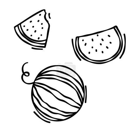 Doodle dibujo de sandía aislada sobre fondo blanco, dibujado por pluma. Miniatura para colorear la página de reserva. Ilustración vectorial de vega fruta