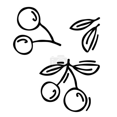 Kritzelzeichnung von Kirsche isoliert auf weißem Hintergrund, mit Stift gezeichnet. Miniaturbild zum Einfärben der Buchungsseite. Vektorillustration der veganen Frucht